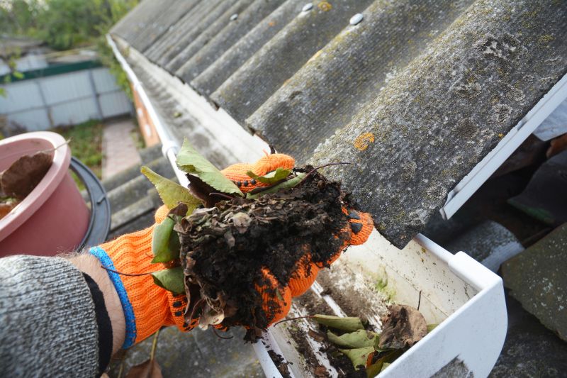 Gutter Leaf Clearing in Monmouth County, NJ