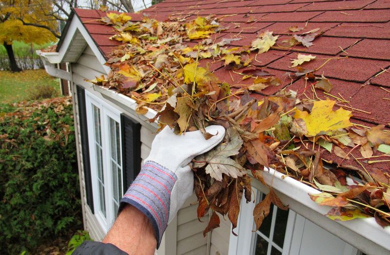 Gutter Leaves Removal in Arvada, CO