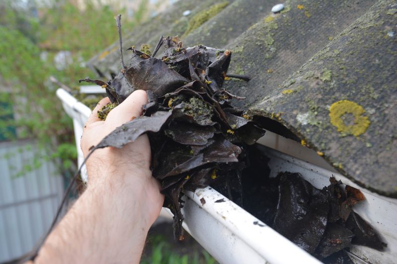 Gutter Leaves Removal in Bergen County, NJ