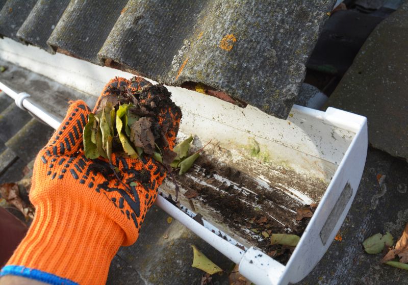 Gutter Maintenance in Boulder, CO