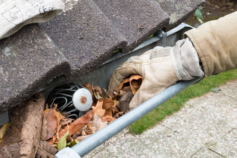 Gutter Pine Needle Removal in Pittsburgh, PA